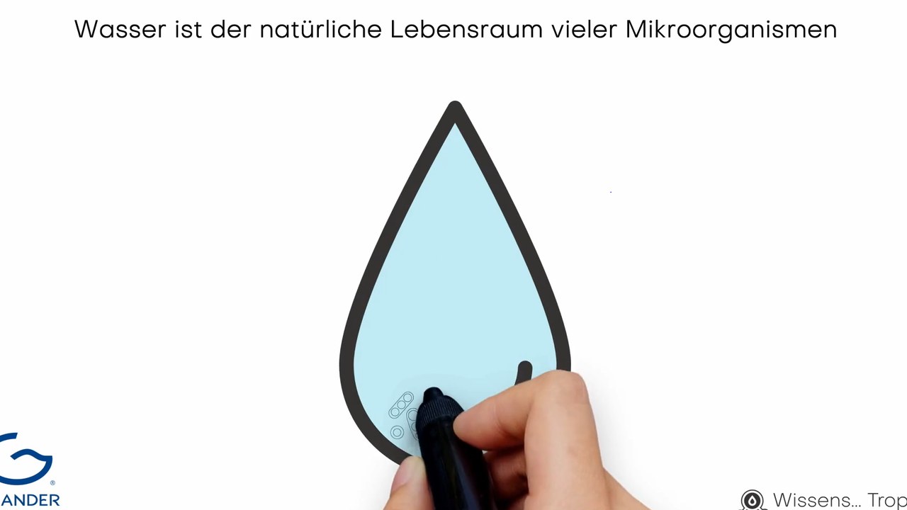 Vorschaubild: Erklärfilm Studie 2022